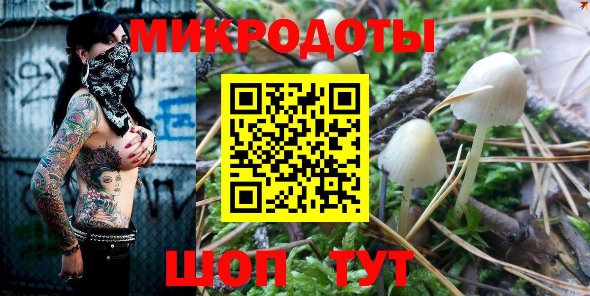 Галлюциногенные грибы Psilocybe  где можно купить   Салехард  Вход с VPN  Галлюциногенные грибы прущие грибы 