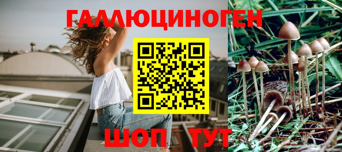 Псилоцибиновые грибы мицелий Салехард